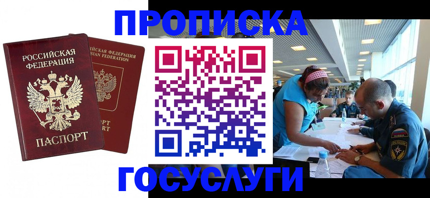 прописка поиск в Коле