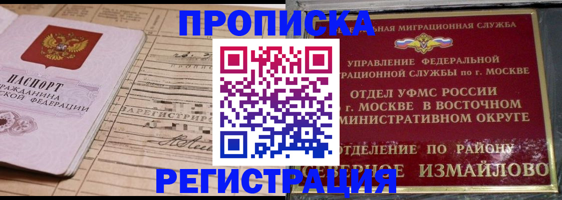где прописаться в Коле